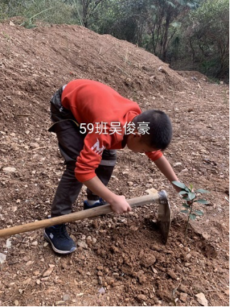 衡陽市蒸湘區(qū)仁愛實(shí)驗(yàn)中學(xué)|衡陽全日制|全寄宿|全封閉|半月假制初級中學(xué) 衡陽市蒸湘區(qū)仁愛實(shí)驗(yàn)中學(xué)|衡陽全日制|全寄宿|全封閉|半月假制初級中學(xué)