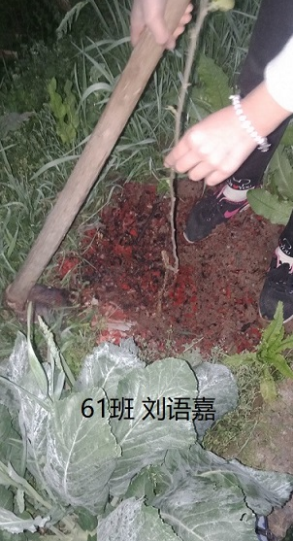 衡陽市蒸湘區(qū)仁愛實(shí)驗(yàn)中學(xué)|衡陽全日制|全寄宿|全封閉|半月假制初級中學(xué) 衡陽市蒸湘區(qū)仁愛實(shí)驗(yàn)中學(xué)|衡陽全日制|全寄宿|全封閉|半月假制初級中學(xué)