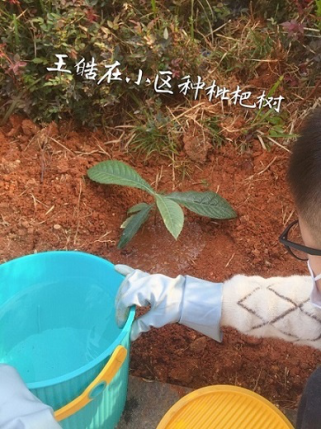 衡陽市蒸湘區(qū)仁愛實(shí)驗(yàn)中學(xué)|衡陽全日制|全寄宿|全封閉|半月假制初級中學(xué) 衡陽市蒸湘區(qū)仁愛實(shí)驗(yàn)中學(xué)|衡陽全日制|全寄宿|全封閉|半月假制初級中學(xué)